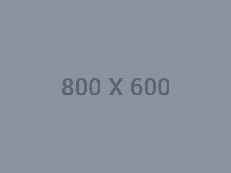 竞利